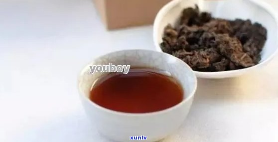 普洱茶的妥善保存与存技巧：生茶、熟茶全方位指南