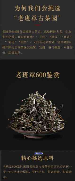 老班章普洱茶京东散茶批发价格图片古树详细信息