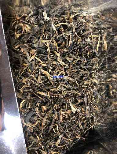 老班章普洱茶京东散茶批发价格图片古树详细信息