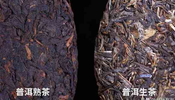 普洱茶生熟外观对比：如何鉴别与欣二者的独特韵味？