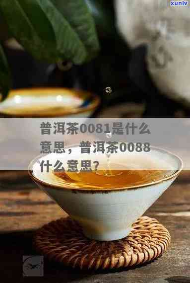 普洱茶0085与0081的区别，普洱0081和0085的含义及品评