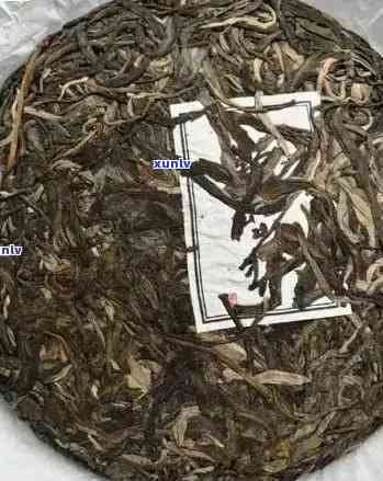 老班章茶2020年普洱茶最新价格表：雨林古树茶品解析