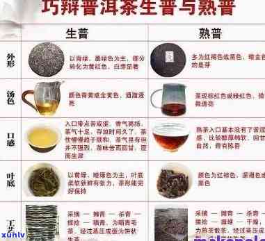 深入了解普洱茶和红茶：工艺、发酵与口感的区别