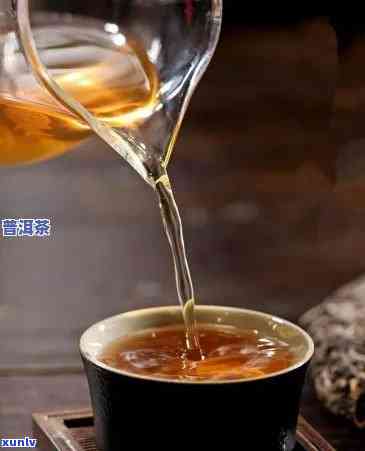 探究熟普洱茶的冲泡次数与合适比例：一次还是多次更好？