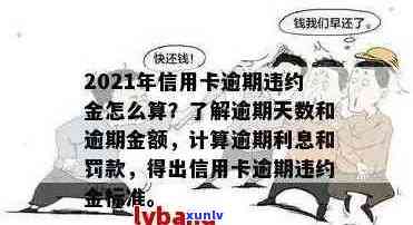 逾期信用卡违约金怎么计算：2021年最新指南与细节解析