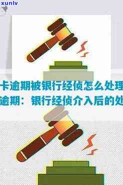 信用卡逾期去经侦怎么处理流程