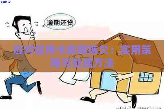 聘号普洱茶孖公仔：价格、官网报价表、产品目录及重新生产的年份