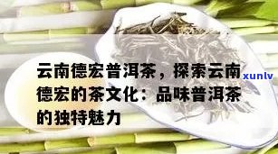 云南思地区的独特人文魅力与茶文化传承