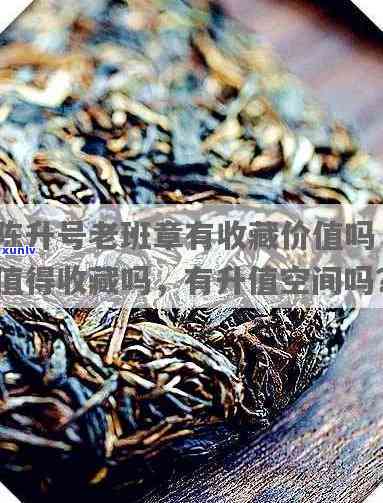 陈升号老班章：普洱茶中的稀世珍品，收藏价值无限