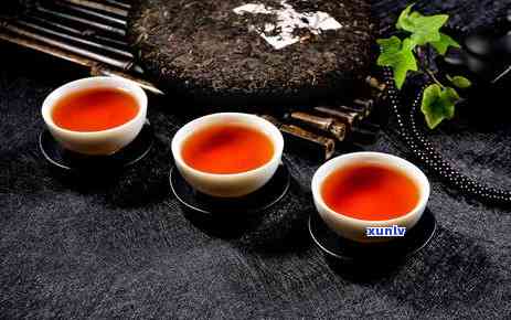 熟普洱茶的发酵过程解析：从原料到成品的全流程详解