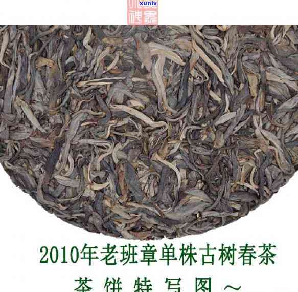 班章茶单株：品种特点、品质鉴与购买指南-班章茶是什么意思