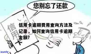 怎么查逾期信用卡额度多少：查询逾期信用卡欠款金额及相关记录。