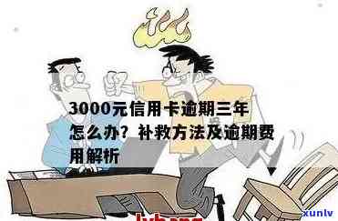 逾期3000元信用卡，银行处理方案全解析