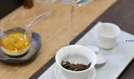 冲泡熟普洱茶的建议：一次冲泡多少克茶叶与水的比例？