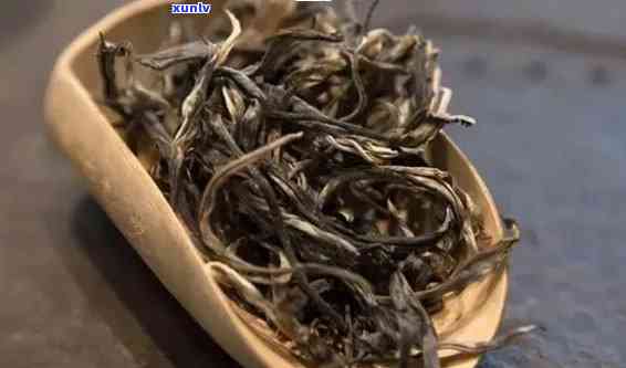 帕沙茶的独特口感：古树普洱茶的解析与品鉴