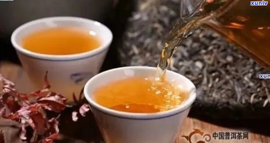品味老班章茶，感受独特韵味与普洱文化的交融