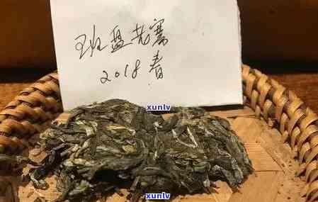 2020年老班章雨林古茶坊：古树普洱茶的醇厚滋味与独特风味