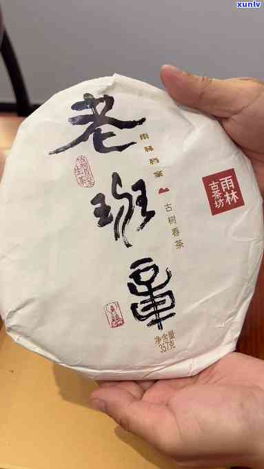 2020年老班章雨林古茶坊：古树普洱茶的醇厚滋味与独特风味