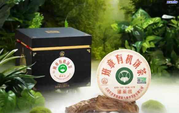 雀饼茶有机班章生态：一款全面解决用户问题的优质茶叶