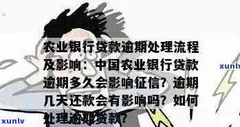 农行信用卡逾期还款指南：应对策略与可行解决方案