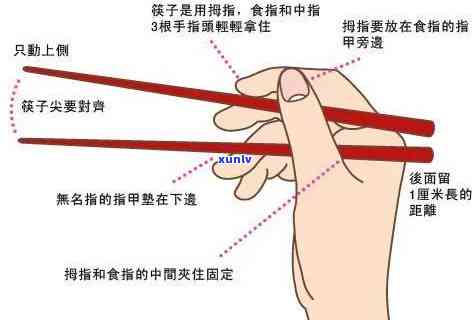 骨肉相连寓意解析：探索家族情感、文化传承与人际关系的深层含义