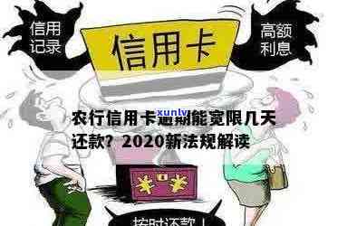 2020年农行信用卡还款政策调整：新规定解读与实细则