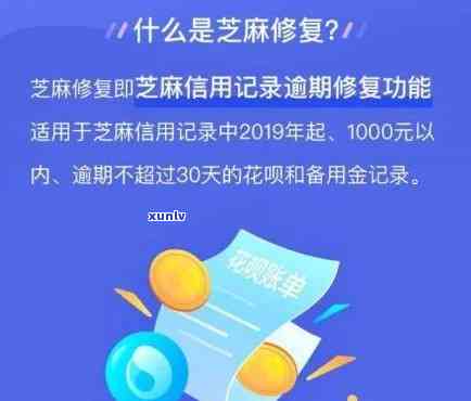 芝麻信用卡的逾期账单怎么查： 查看及解决办法