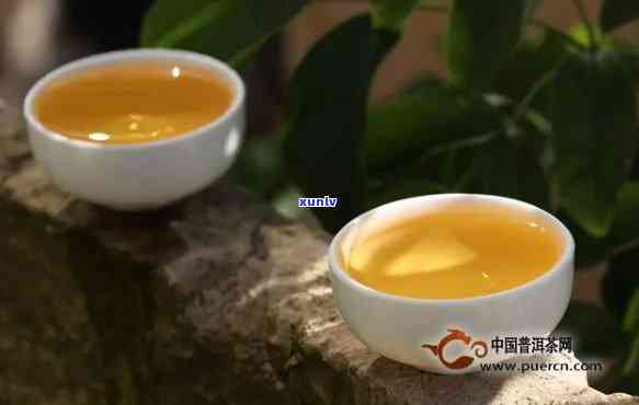 班章普洱茶：一人生的独特韵味与感悟