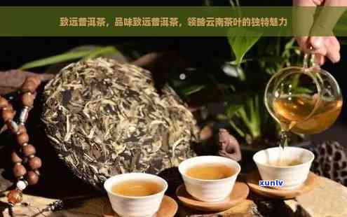 云南普洱茶：探寻其越品质的源头