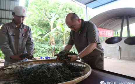 陈升号老班章：纯料拼配的艺术，探究普洱茶的品质之源