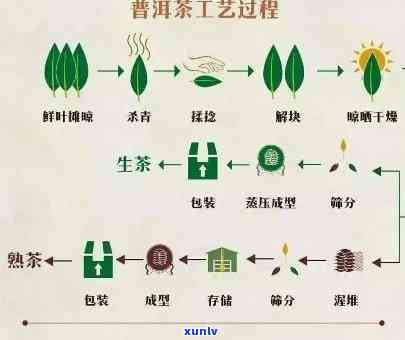 班章茶艺：传统工艺与普洱茶文化的完美融合