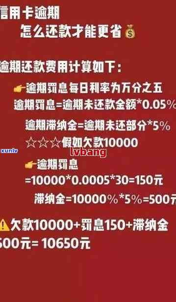 信用卡逾期还款全解析：如何降低利率与避免罚息