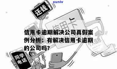 编造信用卡逾期案例分享：揭秘信用卡逾期的真相