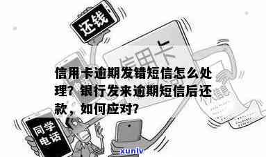 信用卡逾期还款全攻略：银行短信催款后如何及时处理？