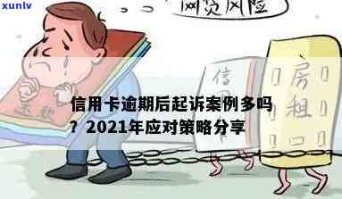  *** 县信用卡逾期案件：2021年最新案例与查询方式