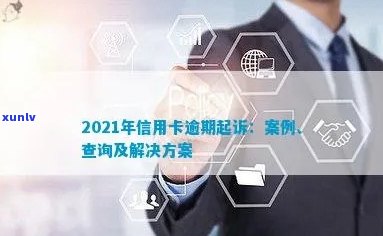  *** 县信用卡逾期案件：2021年最新案例与查询方式