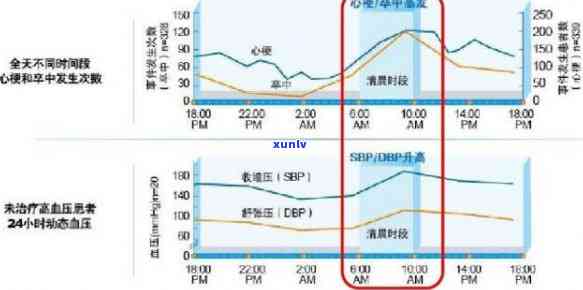 普洱海拔高度及对高血压影响：一个综合解析