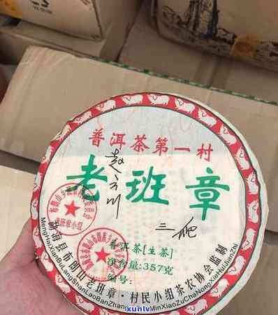 老班章是大叶种还是小叶种 - 茶叶品种鉴定