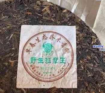 老班章是大叶种还是小叶种 - 茶叶品种鉴定