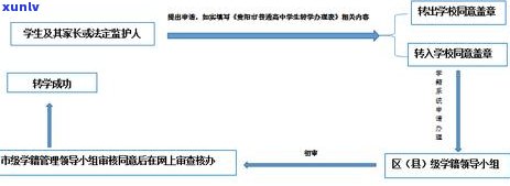 逾期信用卡初审已通过，如何进行后续处理和信用修复？