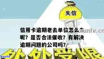 信用卡逾期还款的解决策略：寻找老婆单位协助有效吗？同时探讨其他应对措