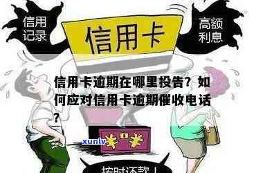 信用卡逾期还款遭遇银行 *** ，我该如何应对并告知公司？