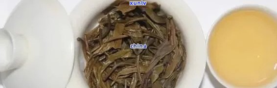 老班章新茶能泡几泡