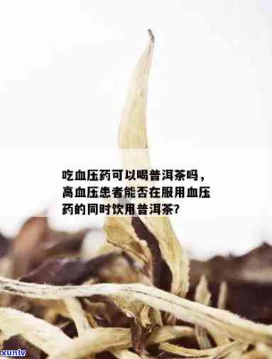 高血压患者喝普洱茶：医生妙手揭示潜在风险与适宜饮用 *** 