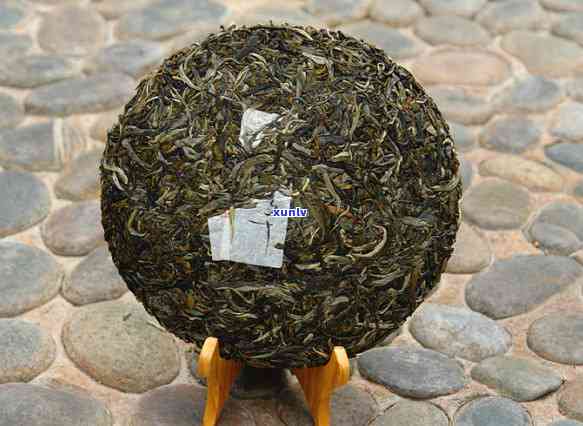 新老班章古树茶的产地、品质和购买途径全面解析
