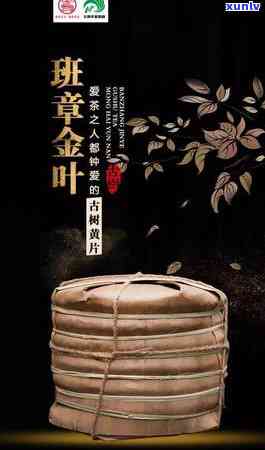 10年八角亭老班章：茶香岁月里的普洱传承