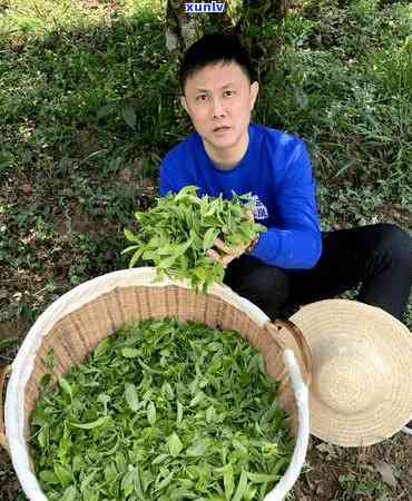 十几年的老班章普洱茶多少钱一饼