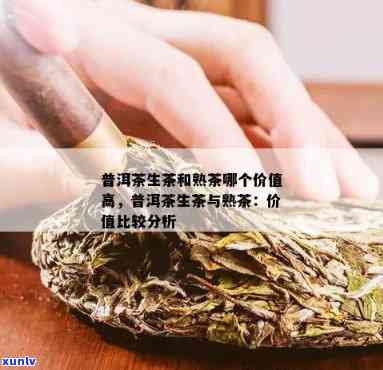 普洱茶投资：生茶与熟茶的潜力与价值分析