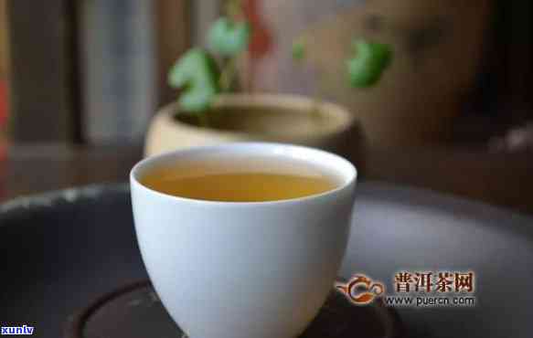 普洱茶投资：生茶与熟茶的潜力与价值分析