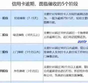 信用卡逾期状况处理全指南：你可能需要的关键步骤与建议